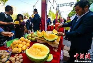 滨江最新吃瓜新闻,揭秘网红餐厅神秘事件背后的真相