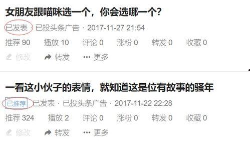 头条拍视频为什么模糊,头条拍视频模糊之谜，原因及解决攻略