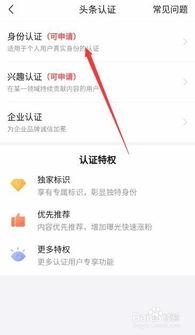 头条怎么认证高级选手,轻松成为行业佼佼者