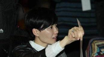 哪些明星去汶川了,汶川地震救援中的明星身影