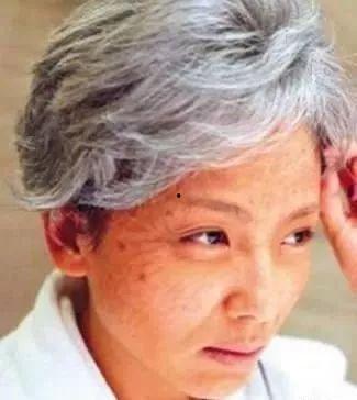 低龄老年人明星,低龄老年人明星风采录