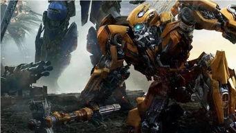 网红王小博,网红界的璀璨明星，揭秘他的爆红之路